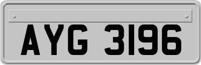 AYG3196