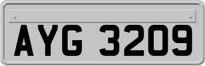 AYG3209