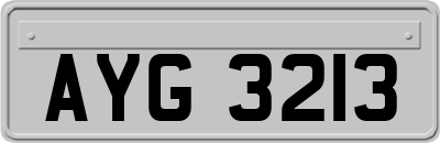 AYG3213