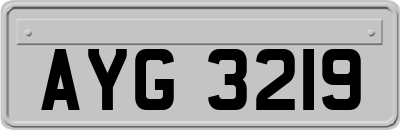 AYG3219
