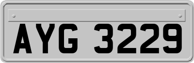 AYG3229