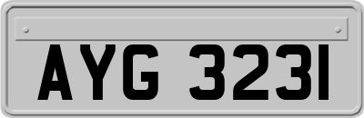 AYG3231