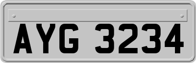 AYG3234