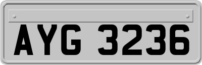 AYG3236