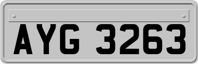 AYG3263