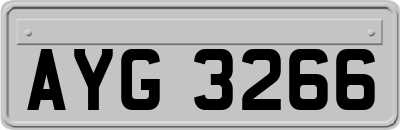 AYG3266