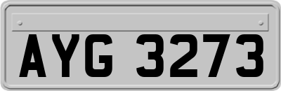 AYG3273