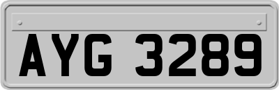 AYG3289