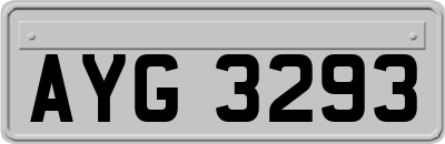 AYG3293