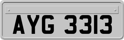 AYG3313