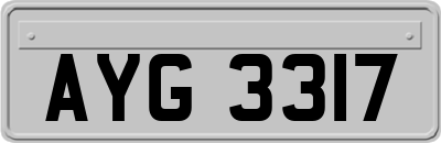 AYG3317