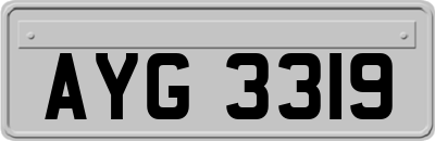AYG3319