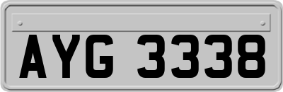 AYG3338