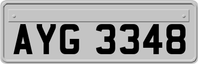 AYG3348