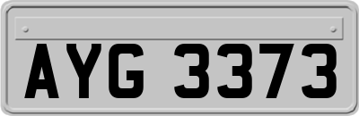 AYG3373