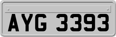 AYG3393