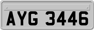 AYG3446