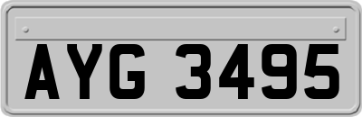 AYG3495