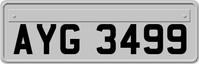 AYG3499