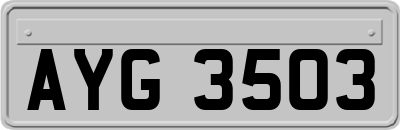 AYG3503
