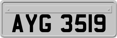 AYG3519