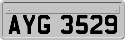 AYG3529