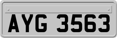AYG3563