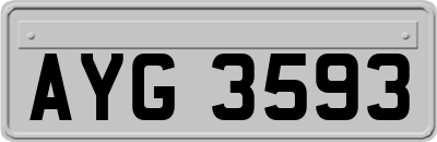 AYG3593