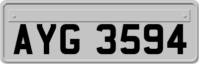 AYG3594