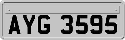 AYG3595