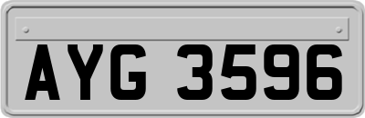 AYG3596