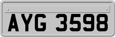 AYG3598