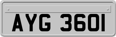 AYG3601