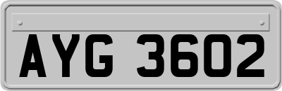 AYG3602