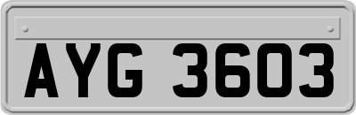 AYG3603