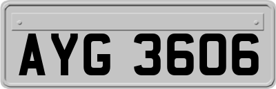 AYG3606
