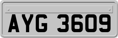 AYG3609