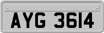 AYG3614