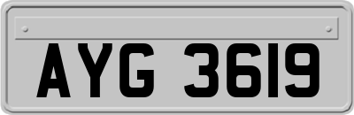 AYG3619