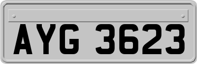AYG3623