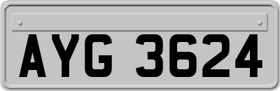 AYG3624