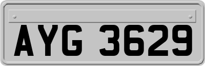 AYG3629