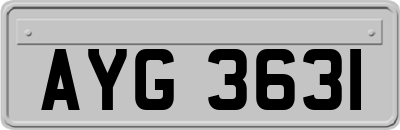 AYG3631