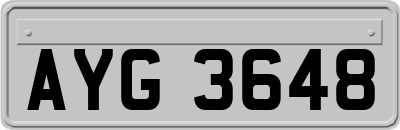 AYG3648