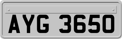 AYG3650
