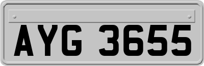 AYG3655