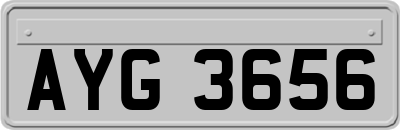 AYG3656