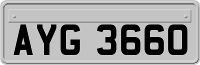 AYG3660