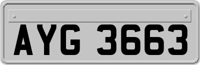AYG3663