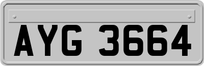AYG3664
